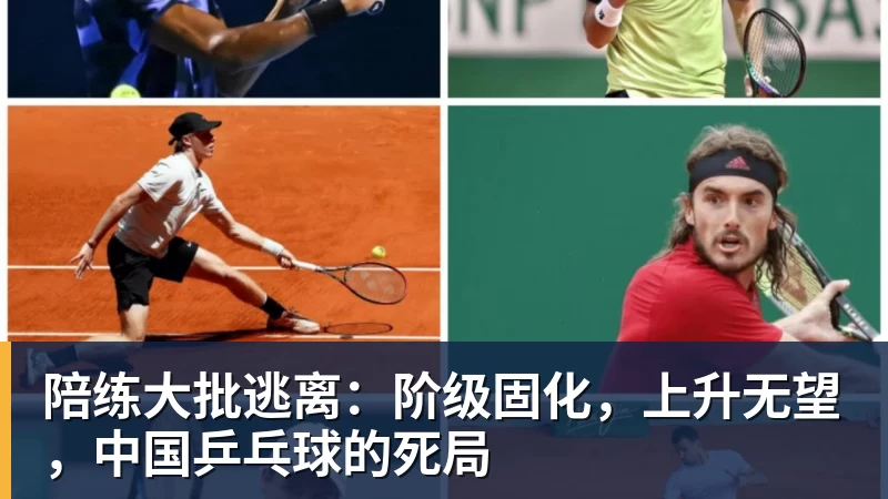 陪练大批逃离:阶级固化,上升无望,中国乒乓球的死局