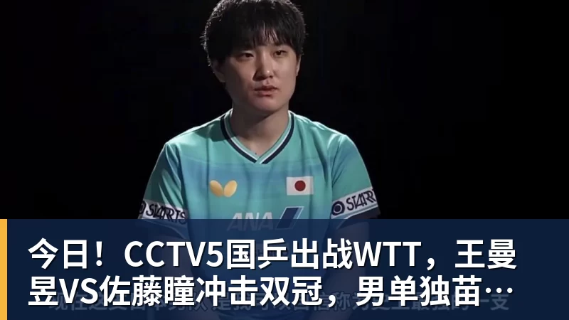 今日！CCTV5国乒出战WTT，王曼昱VS佐藤瞳冲击双冠，男单独苗周启豪PK松岛辉空