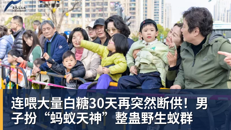 连喂大量白糖30天再突然断供！男子扮“蚂蚁天神”整蛊野生蚁群